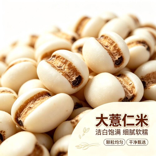 大薏仁米颗粒饱满无碎粒新薏米软糯易煮五谷杂粮商用五谷批发