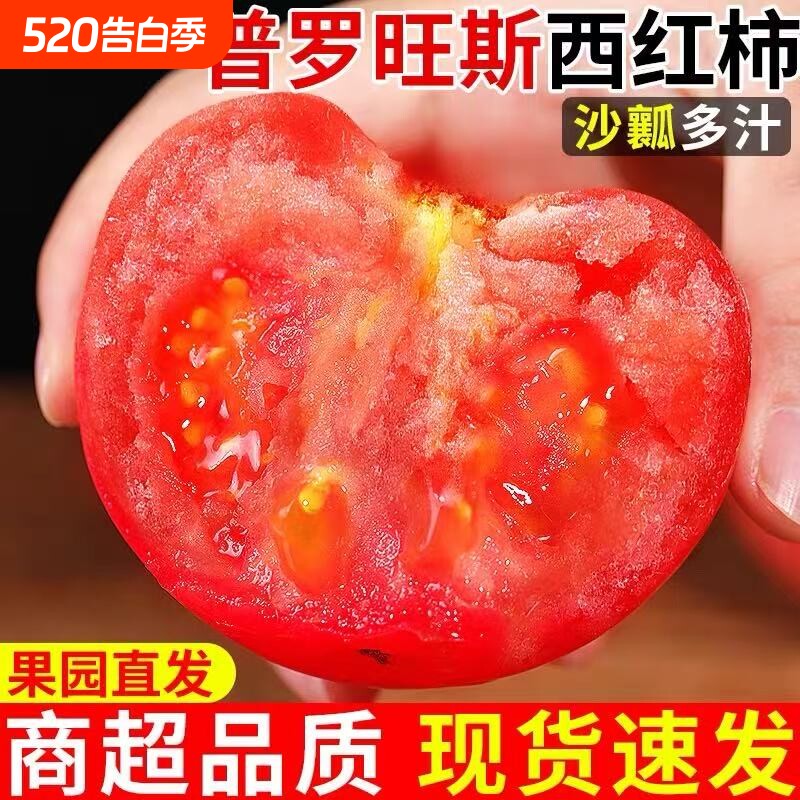 安徽普罗旺斯生吃西红柿新鲜自然熟沙瓤大番茄现摘水果蔬菜粉柿子