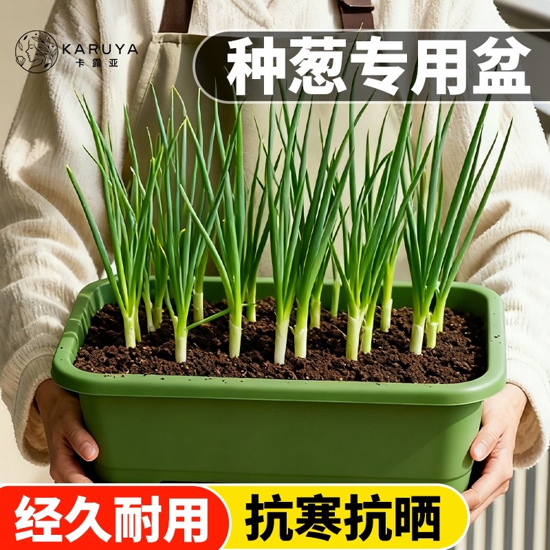 阳台种菜盆加厚长方形塑料盆
