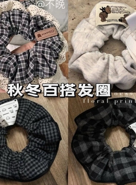 韩系飘带发圈大肠蝴蝶结2025发绳高级马尾头绳少女半扎发饰秋冬发