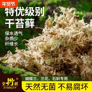 史丹利水苔蝴蝶兰专用土干苔藓养兰花的营养土优质文石斛心兰乌龟