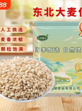 东北大麦米仁农家新鲜自种
