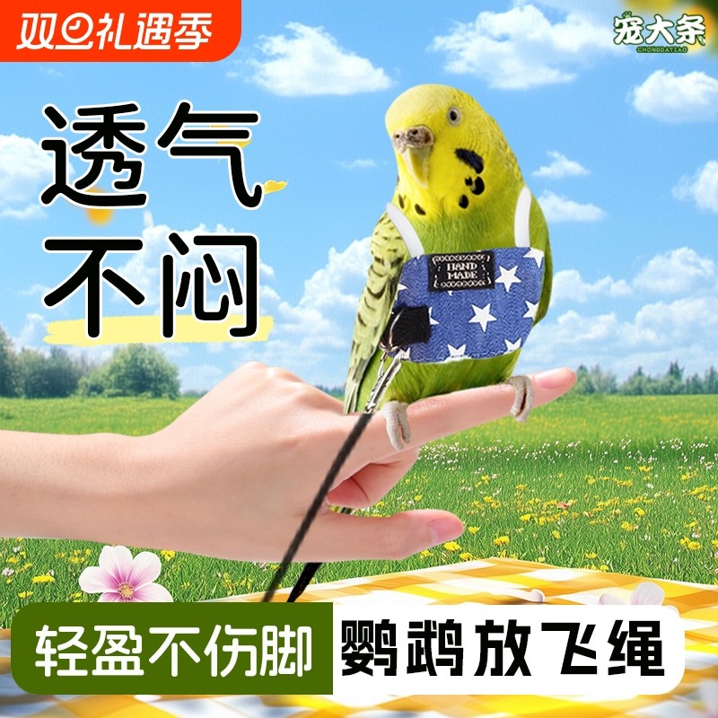 鹦鹉放飞绳不伤脚超轻训练绳子虎皮玄凤背心飞行服外出遛鸟飞行绳