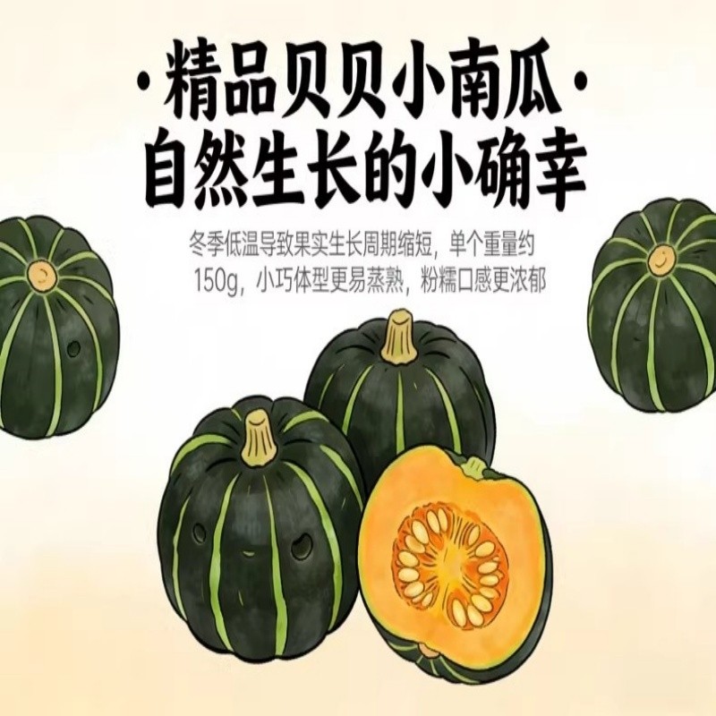 正宗贝贝南瓜粉糯板栗小南瓜新鲜婴儿辅食营养粗粮蔬菜粉香甜蜜糯,水产肉类/新鲜蔬果/熟食,南瓜,淘宝优惠券,粉丝福利购,淘宝优惠卷