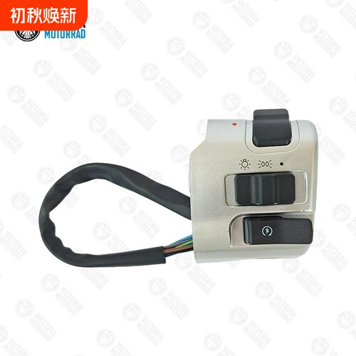 适用龙嘉维多利亚victor 150,250,300按键总成原厂配件颜色齐全