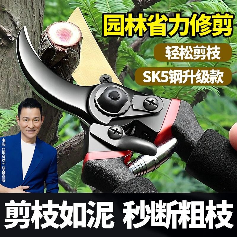 修枝剪花剪园艺剪刀修剪树枝果树剪花枝剪子园林工具家用花卉剪枝图片