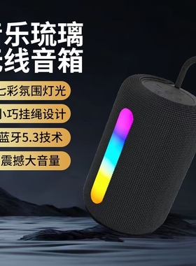 新款大音量震撼长续航高音质无线小巧便携音箱炫彩氛围灯SH-319
