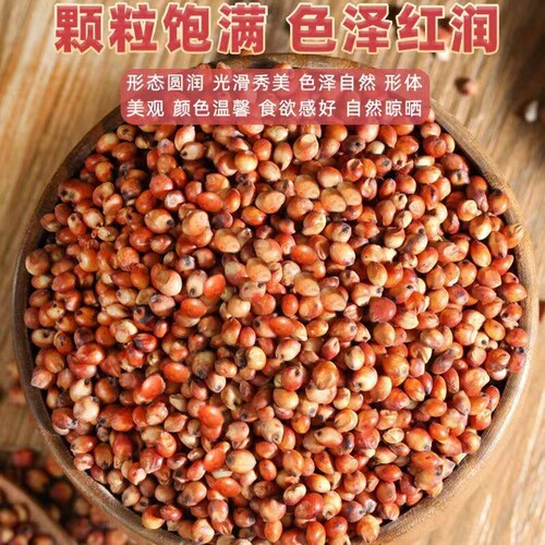 新货红高粱糯高粱带皮酿酒磨面