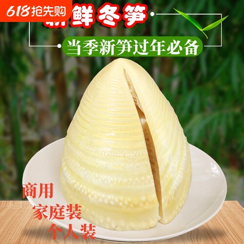 新鲜冬笋竹笋清水水煮袋装火锅煲汤食材美味鲜笋泡椒当季