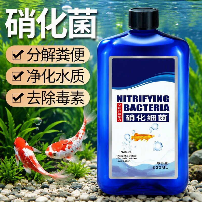 浓缩硝化细菌水族鱼缸专用龙鱼水质澈消化亚甲净水剂活菌活性养鱼