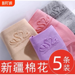 优质抗菌 三角短裤 7条女士内裤 纯棉收腹女高腰透气全棉档提臀大码