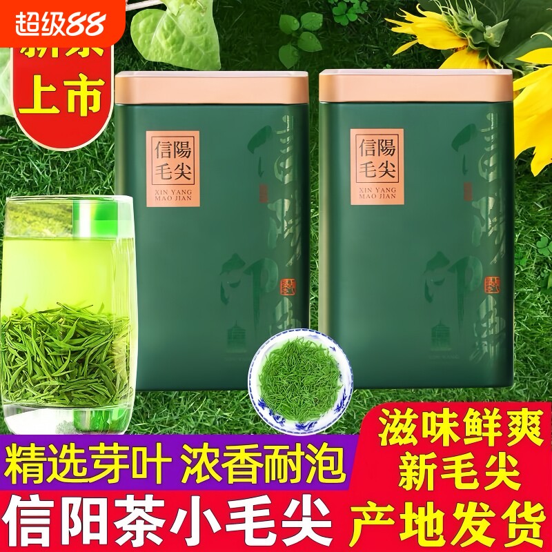信阳毛尖茶叶2026新茶正宗信阳原产明前特级嫩芽尖浓香型毛尖罐装