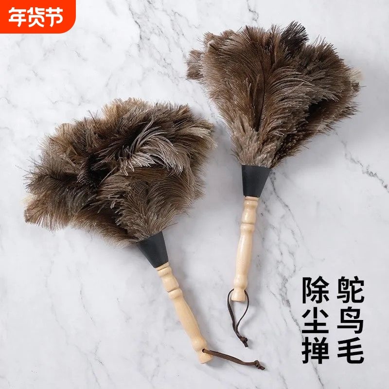 鸡毛掸子家用除尘打扫卫生静电车用扫灰毛刷神器鸵鸟毛伸缩蓬松,家庭/个人清洁工具,除尘掸,淘宝优惠券,粉丝福利购,淘宝优惠卷