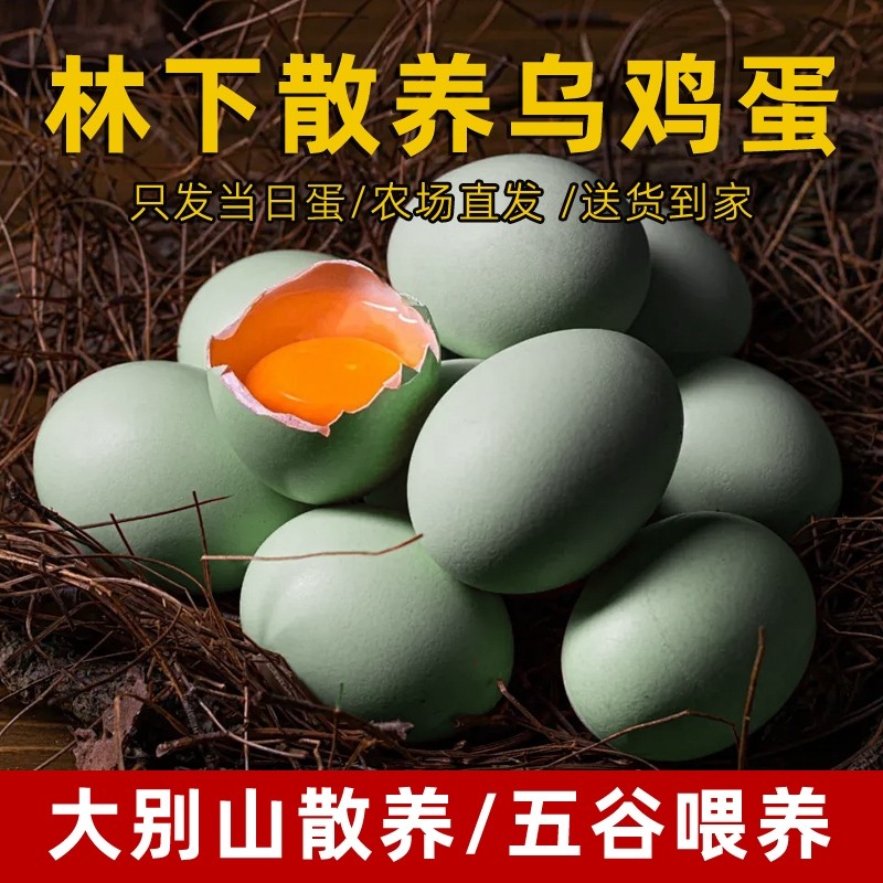 散养绿壳土鸡蛋50枚湖北大农家儿童老人鸡蛋自提农场谷物配送乌鸡