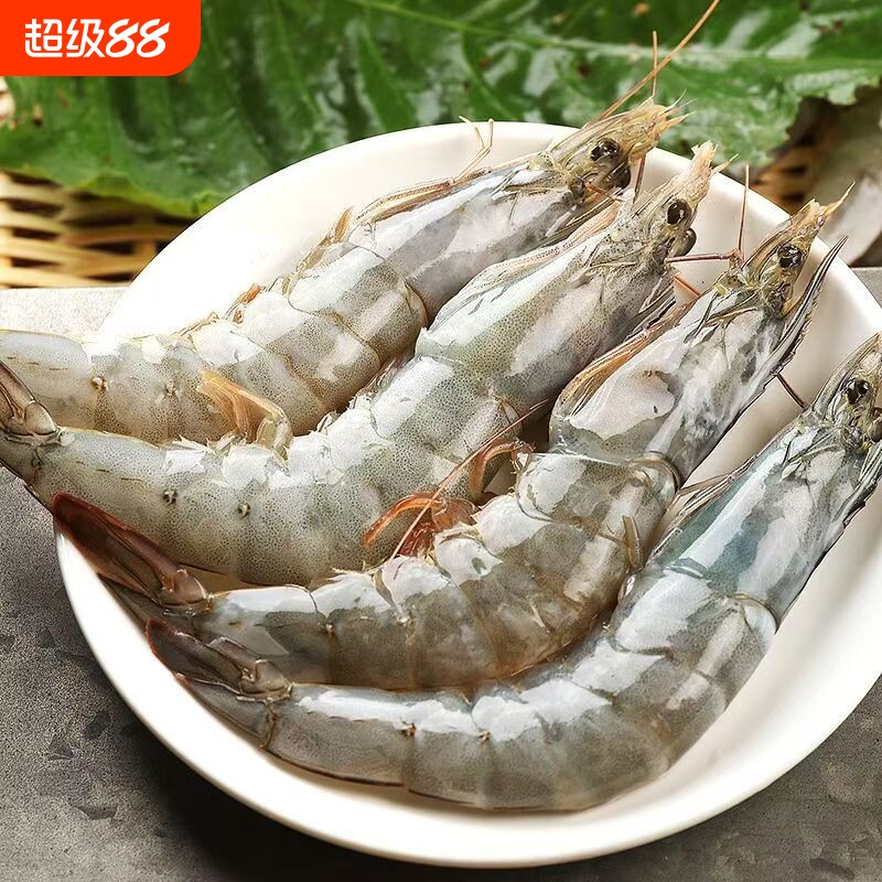 单冻大虾鲜活速冻白虾大虾生鲜盐冻海鲜水产鲜活冷冻大虾白对虾