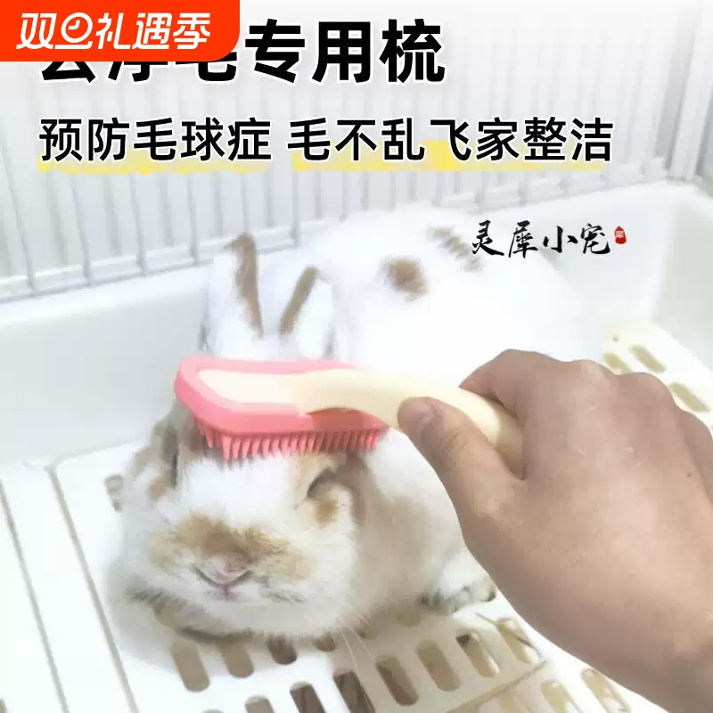 硅胶梳按摩去浮毛梳子兔子梳毛龙猫豚鼠土拨鼠荷兰猪专用刮毛器