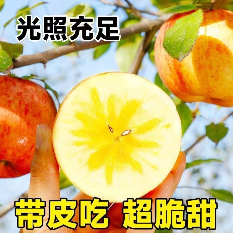 【冰糖心苹果】正宗山西红富士苹果脆甜新鲜现摘应季水果整箱批发,水产肉类/新鲜蔬果/熟食,苹果,淘宝优惠券,粉丝福利购,淘宝优惠卷