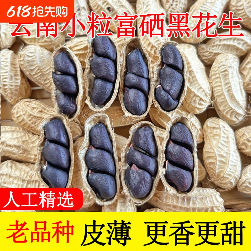 云南黑花生富硒黑皮花生带壳晒干黑花生米紫皮原味老品种新鲜健康