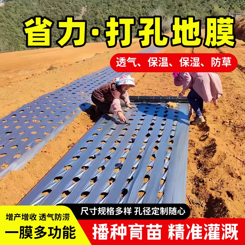 农用种植打孔地膜黑膜防草菜地玉米开孔带孔薄膜银黑地膜免打孔膜