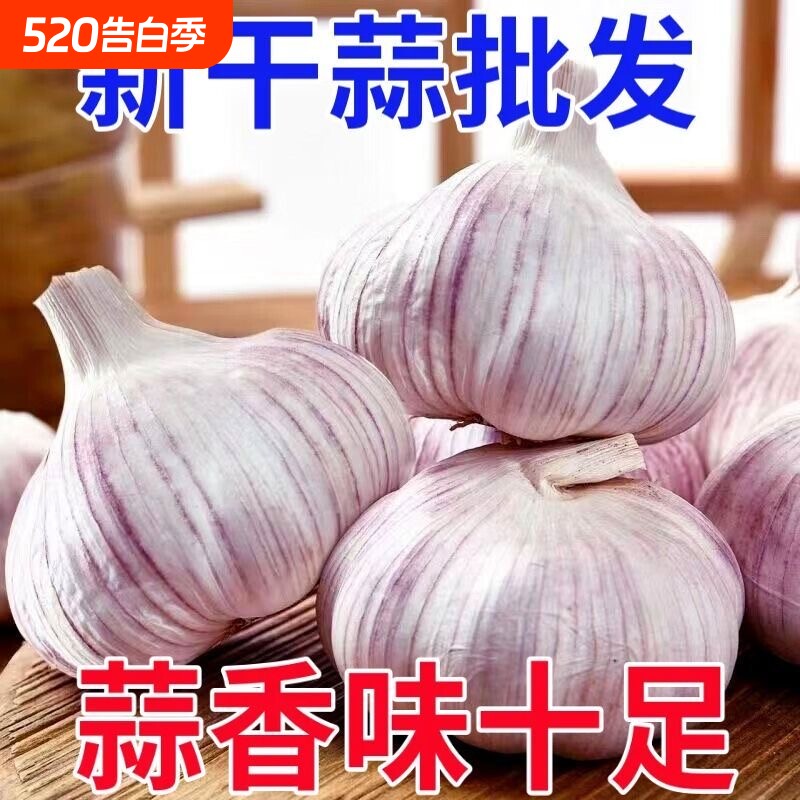 农家新干蒜大蒜头金乡大蒜农家自种紫皮蒜高品质产地直发旗舰店