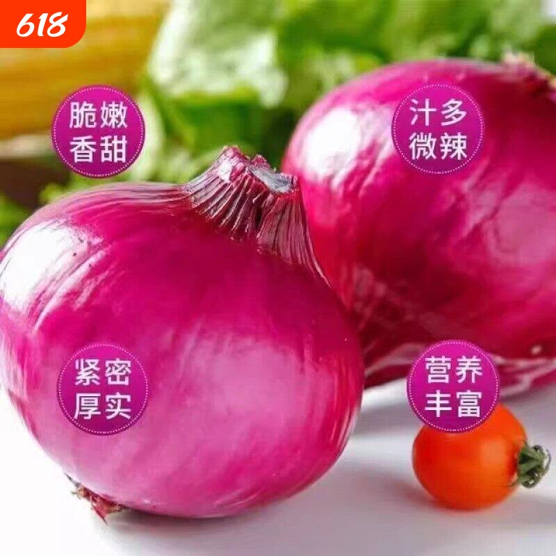洋葱甜味新鲜紫皮洋葱洋葱头毛葱红洋葱大洋葱精选种植应季脆甜