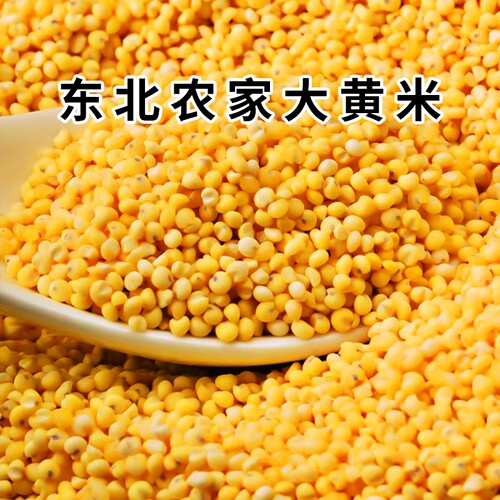 一把锄头东北大黄米黄糯米当季新货农家粗粮杂粮新米特产粘豆包