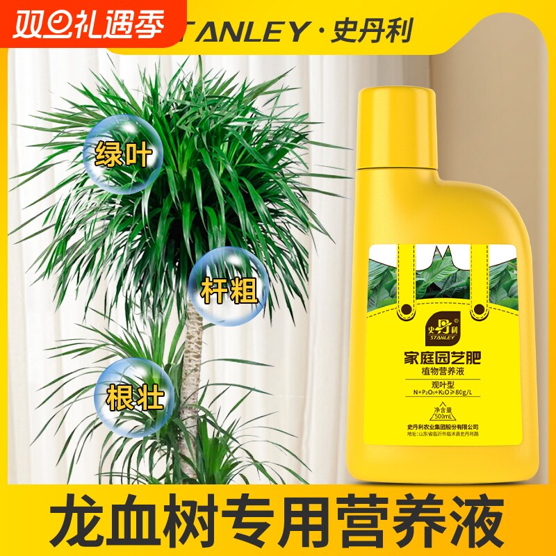 史丹利龙血树专用营养液治疗龙须树黄叶怎么养客厅绿植通用型肥料