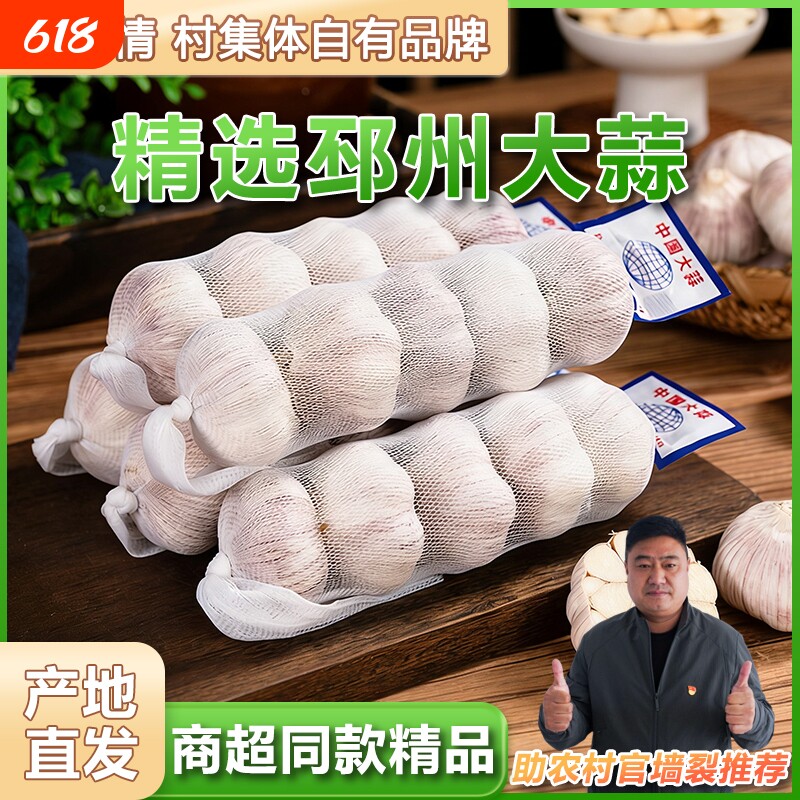产地直发邳州净蒜 商超同款调味大蒜头网兜条装多瓣大蒜新鲜特大