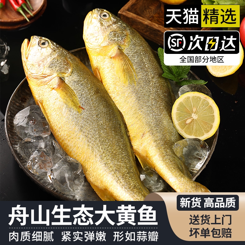 遇上鲜】舟山生态大黄鱼顺丰到家