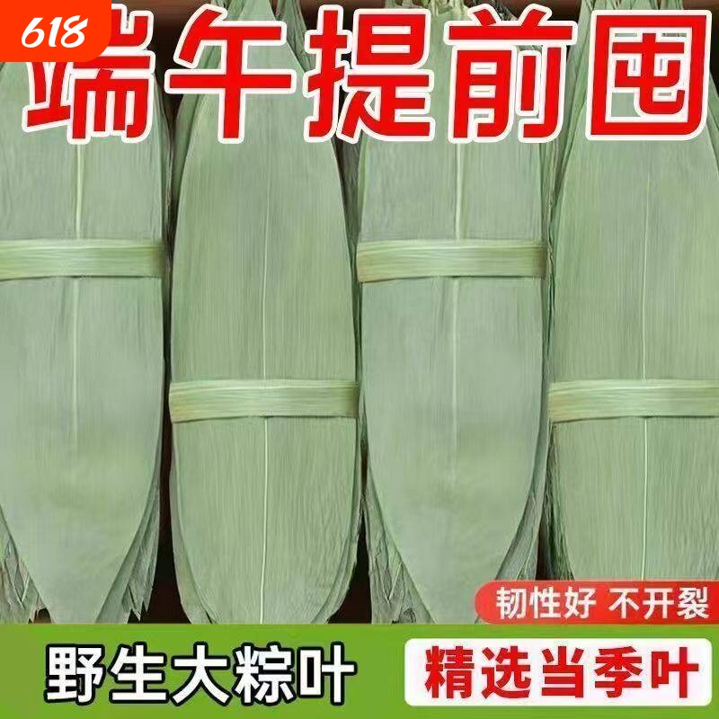 粽子叶粽叶干大号棕叶新鲜包粽子的竹叶子干粽叶商用材料批发糯米