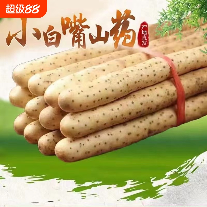 当季农家蔬菜5斤铁杆淮山药新鲜现挖铁棍山药整箱小白嘴山药包邮