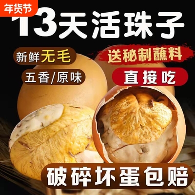 活珠子开袋即食13天麻辣毛蛋香辣味活珠熟制钢化蛋喜蛋五香