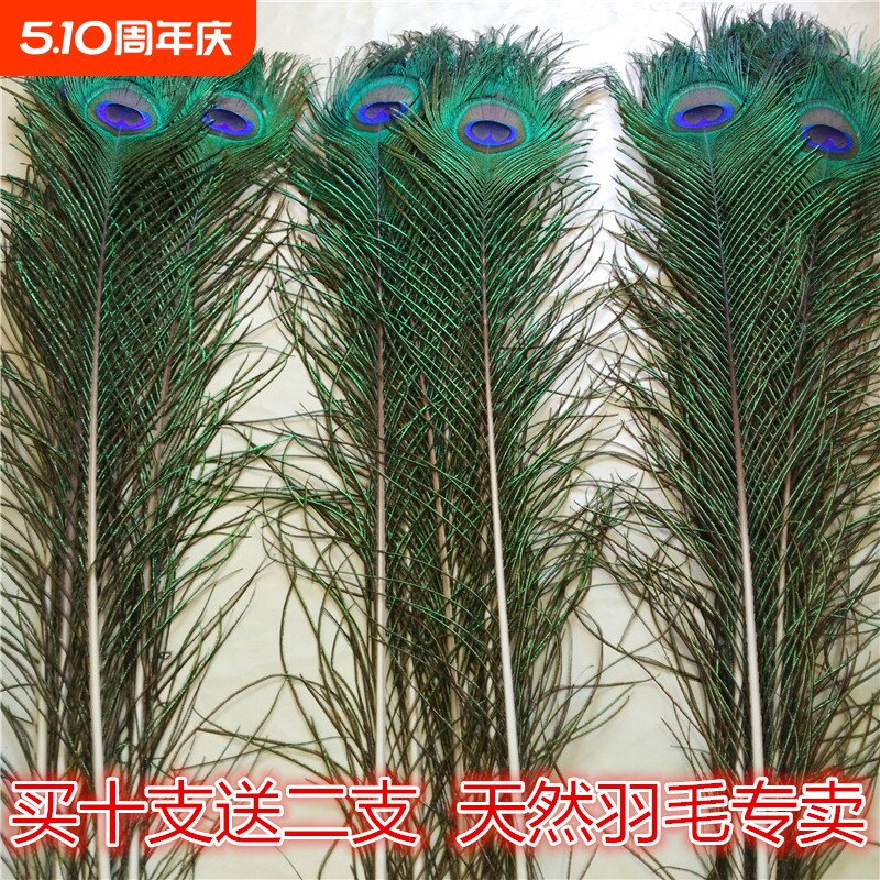 家居饰品摆件孔雀羽毛纯天然真孔雀毛花瓶装饰品孔雀翎尾婚庆艺术