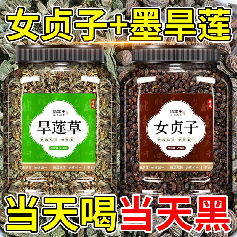 女贞子和墨旱莲中药材正品组合官方旗舰店的功效与作用旱莲草桑葚