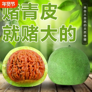 文玩麻核桃赌开青皮闷尖白狮子头四座楼满天星官帽虎苹果园带皮果