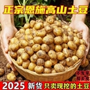 恩施土豆小土豆湖北批发迷你黄心新鲜高山蔬菜洋芋现挖马铃薯整箱