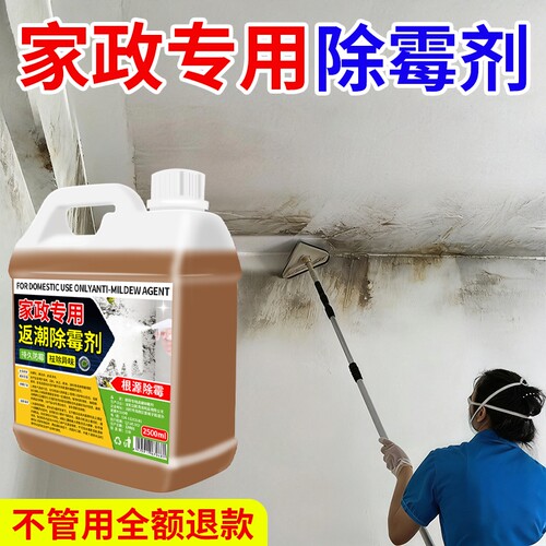 墙体除霉剂白墙清除霉斑霉菌