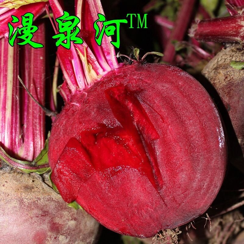 新鲜甜菜头大头菜榨汁蔬菜图片