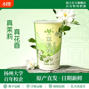 扬大酸奶扬州大学网红茉莉花低温酸奶生牛乳原味酸牛奶风味发酵乳