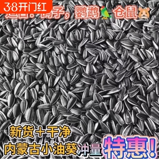生油葵籽5斤鸽子鹦鹉鸟食鸟粮饲料仓鼠宠物零食鸽粮黑珍珠小瓜子