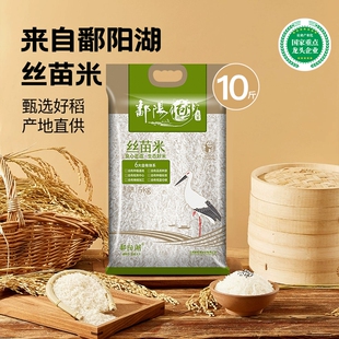 鄱阳湖大米丝苗米5kg1一级籼米煲仔江西新米长粒软糯香软米10斤