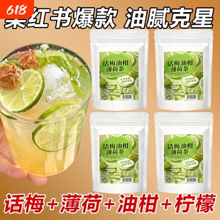 【红书同款配比】话梅油柑薄荷茶水果茶冻干油柑解腻养生冷热冲泡