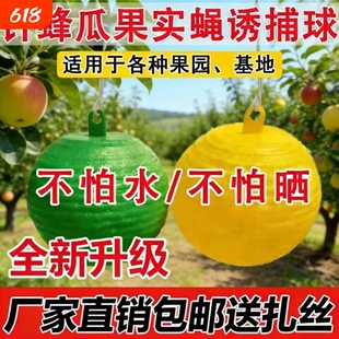 果树诱捕器蝇球诱蝇实蝇瓜果果实粘剂果蝇蚊虫诱捕果园球强力粘