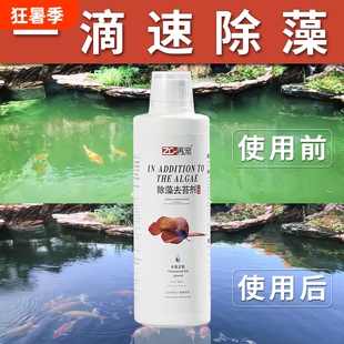 鱼缸除藻剂水藻硝化细菌鱼池净水除绿藻亚甲基蓝水质褐藻去绿水
