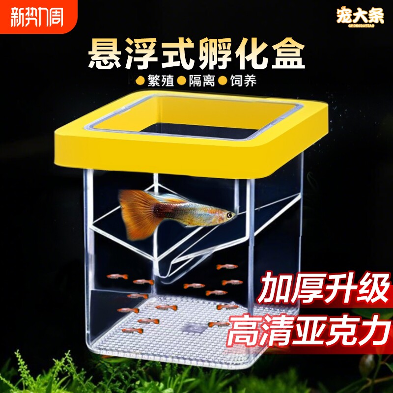 鱼缸繁殖隔离器悬浮式母鱼孵化器孔雀鱼凤尾鱼繁殖盒固定方形