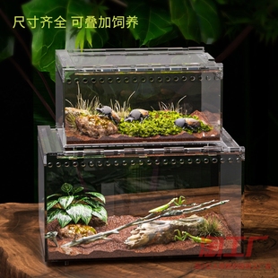 爬虫加热蜘蛛饲养盒带晒台新款套餐守宫寄居蟹乌龟角蛙爬虫缸蜥蜴