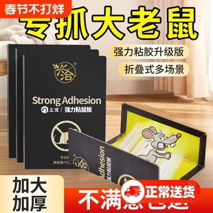 粘鼠板强力胶粘大老鼠加大加厚家用老鼠贴神器超强捕抓器捕鼠防鼠
