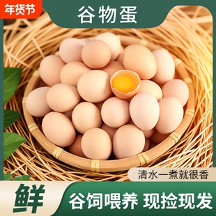 正宗新鲜农家散养土鸡蛋农村林下笨鸡蛋无抗富硒柴鸡蛋现捡现发