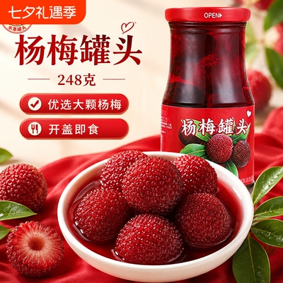 炫姑娘铺子新鲜杨梅罐头248g*6罐装整箱烘焙水果罐头糖水零食批发