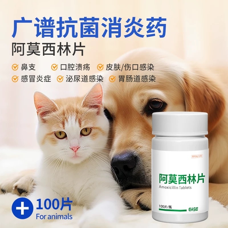 猫咪狗狗感冒药猫用鼻支伤口消炎口炎速诺阿莫西林片肺炎霉素兽用
